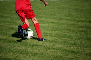 爱游戏综合娱乐-CBA球队加强后勤保障体系优化训练和比赛准备，cba后备联赛